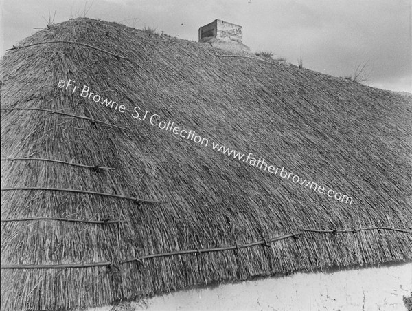 THATCHED HOUSE WITH WOODEN CHIMNEY